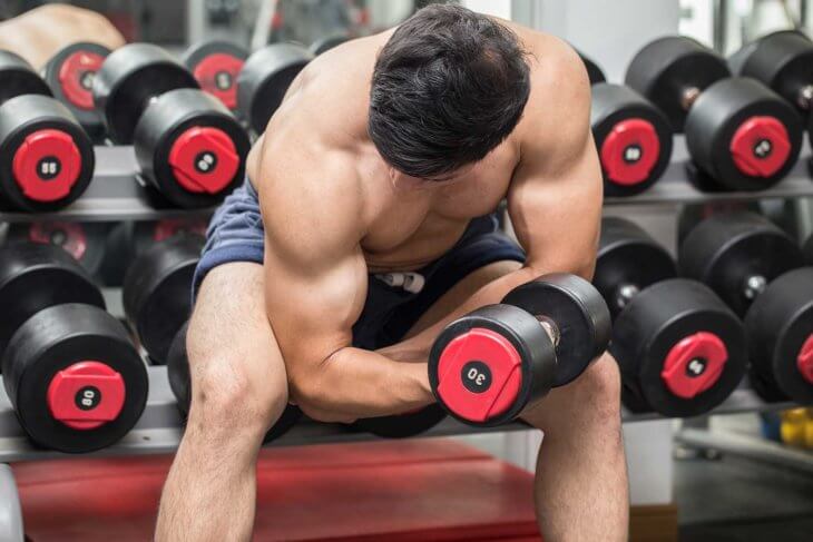 Bicep Concentration Curl