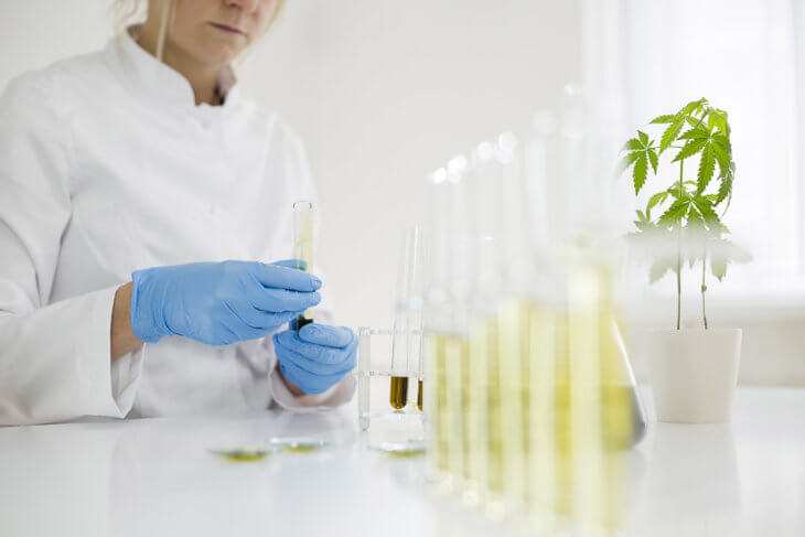 cbd lab extraction method