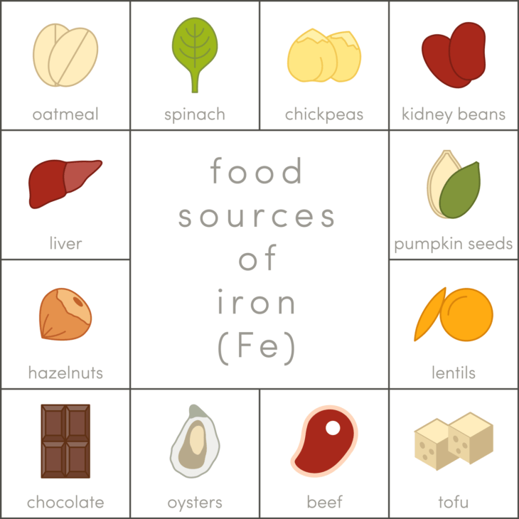 Food Iron Sources