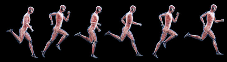 Running Strengthens Muscles