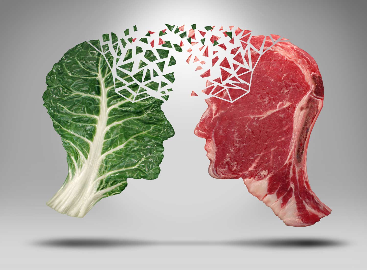 Vegan Vs Carnivore