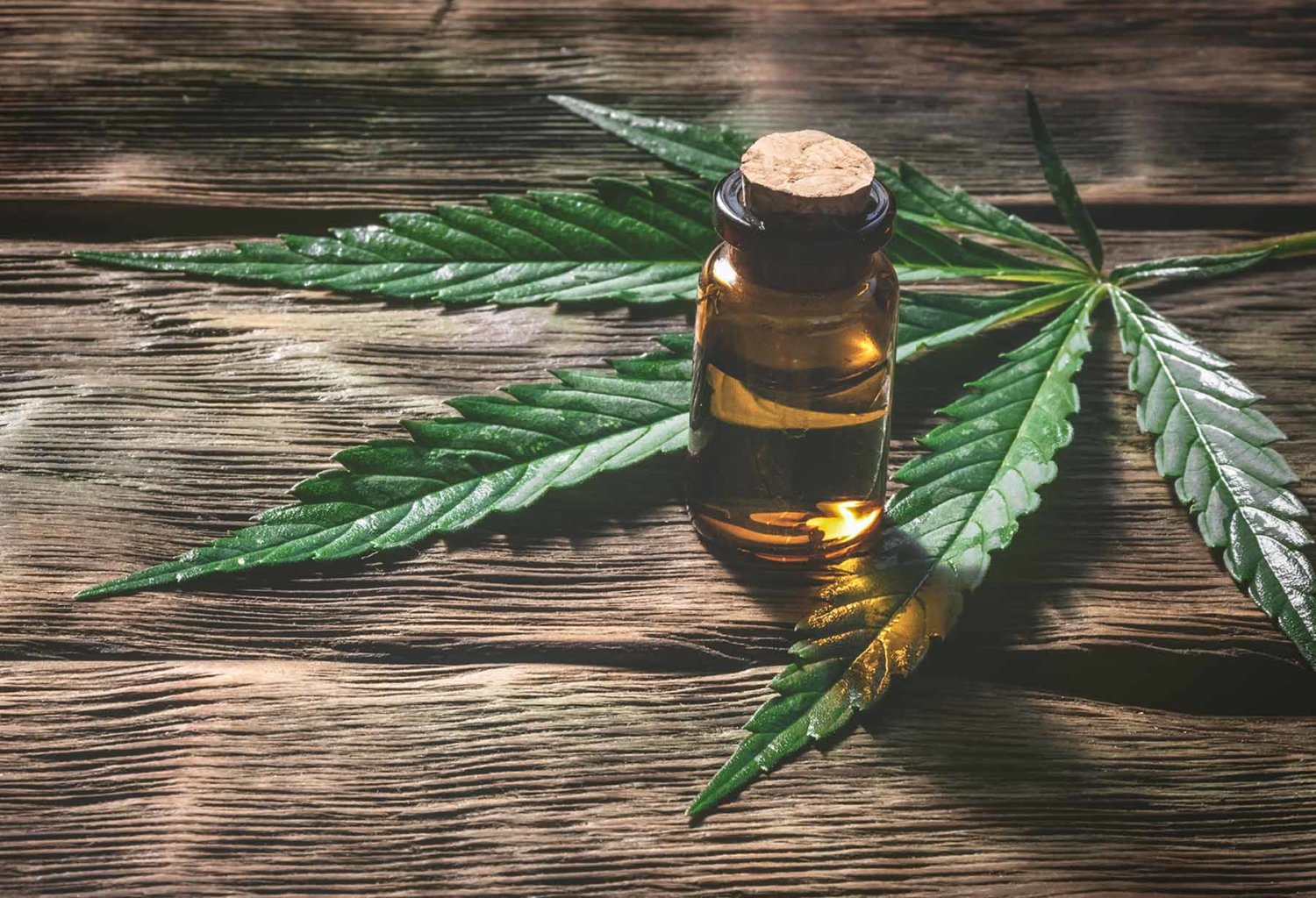 What Is Cbd Explained
